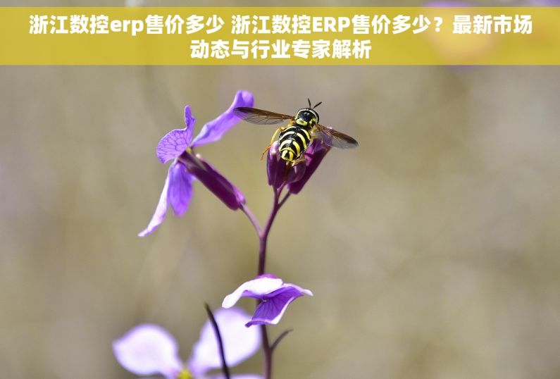 浙江数控erp售价多少 浙江数控ERP售价多少？最新市场动态与行业专家解析