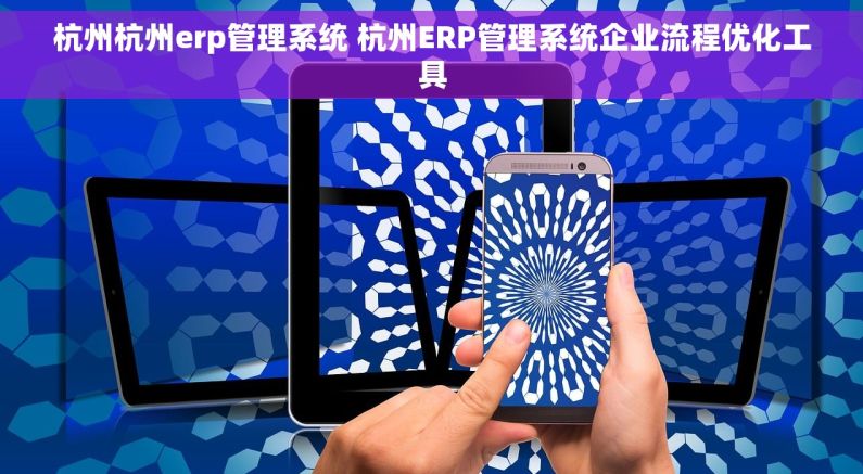杭州杭州erp管理系统 杭州ERP管理系统企业流程优化工具