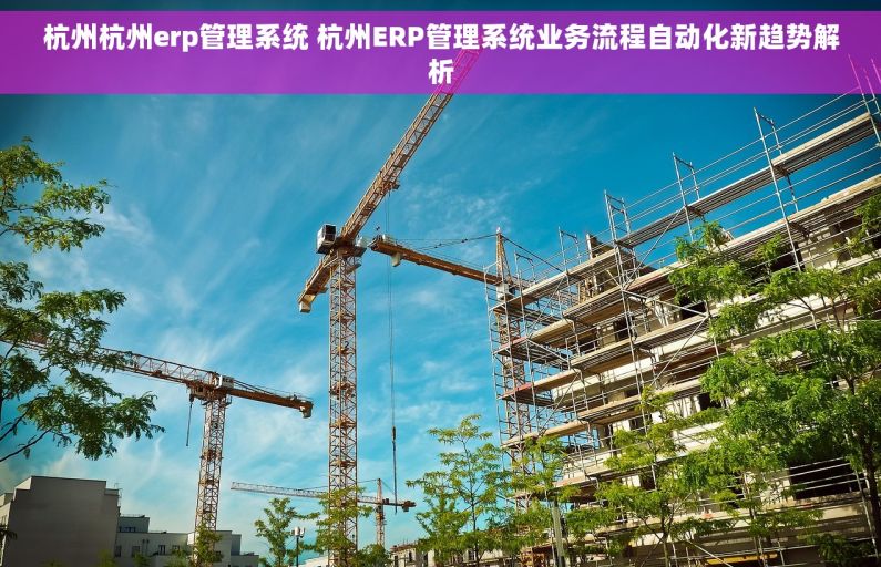 杭州杭州erp管理系统 杭州ERP管理系统业务流程自动化新趋势解析