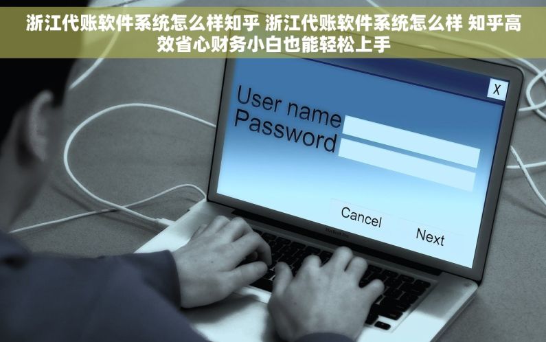 浙江代账软件系统怎么样知乎 浙江代账软件系统怎么样 知乎高效省心财务小白也能轻松上手