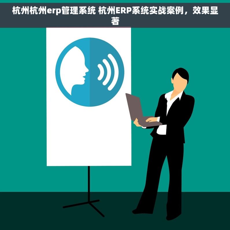 杭州杭州erp管理系统 杭州ERP系统实战案例，效果显著