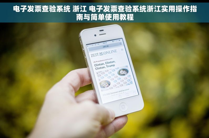 电子发票查验系统 浙江 电子发票查验系统浙江实用操作指南与简单使用教程