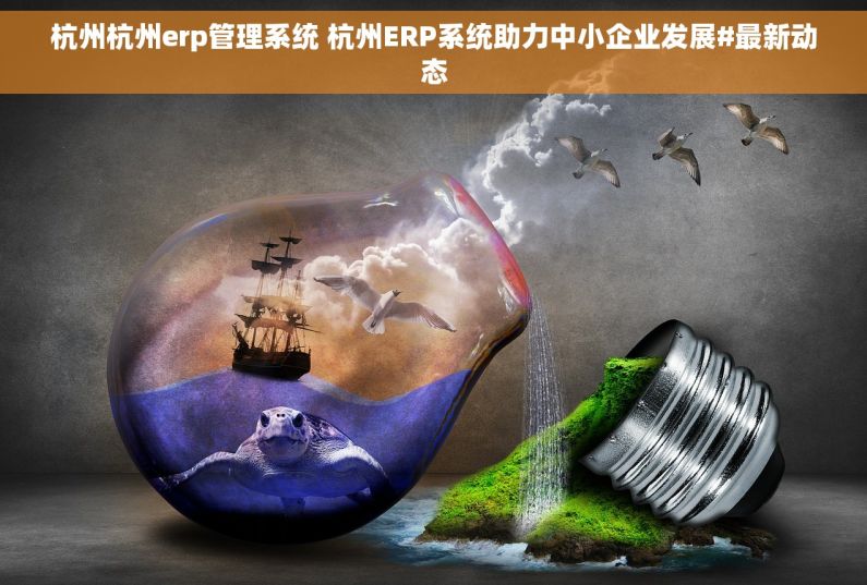 杭州杭州erp管理系统 杭州ERP系统助力中小企业发展#最新动态