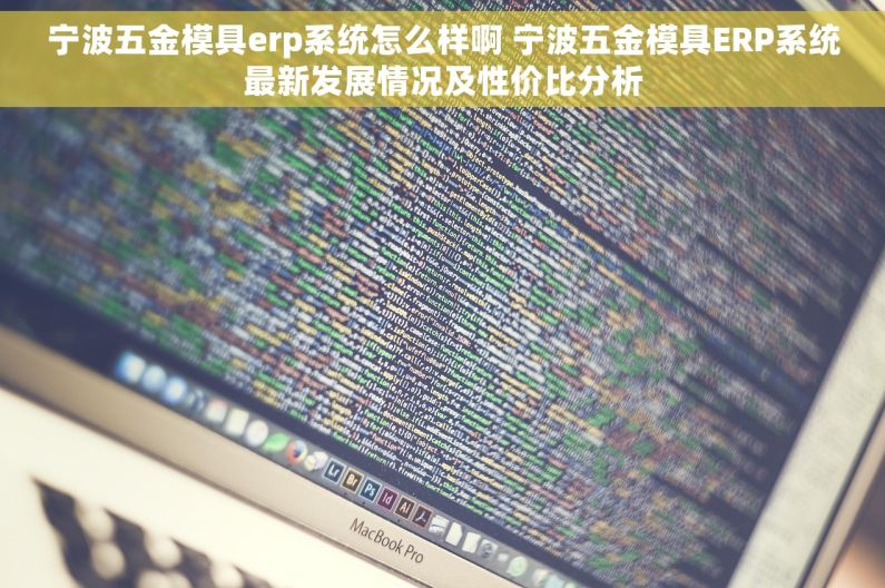 宁波五金模具erp系统怎么样啊 宁波五金模具ERP系统最新发展情况及性价比分析
