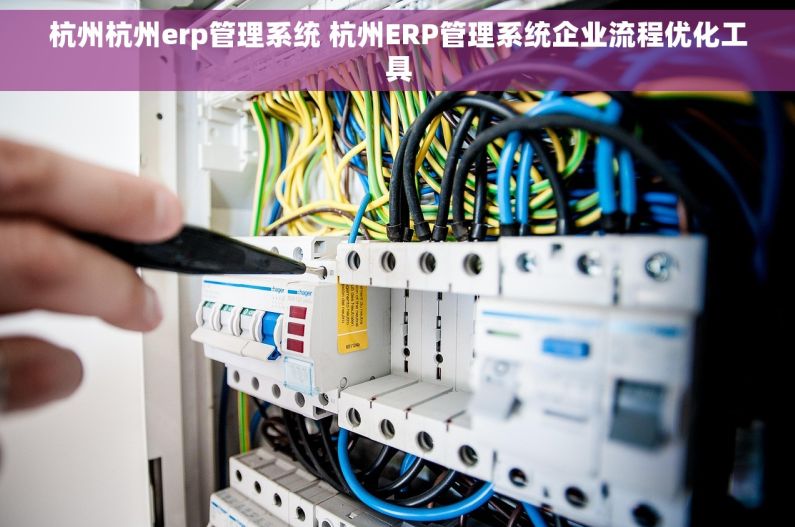 杭州杭州erp管理系统 杭州ERP管理系统企业流程优化工具