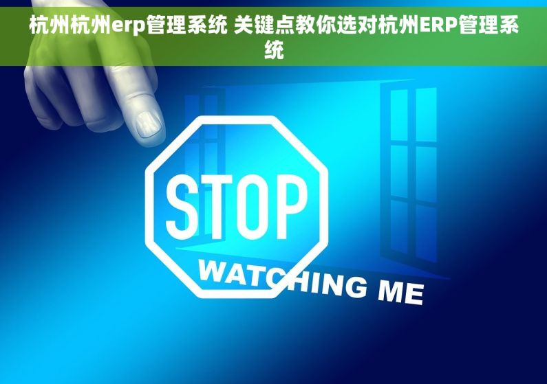 杭州杭州erp管理系统 关键点教你选对杭州ERP管理系统