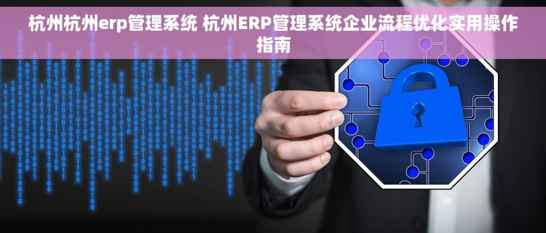 杭州杭州erp管理系统 杭州ERP管理系统企业流程优化实用操作指南