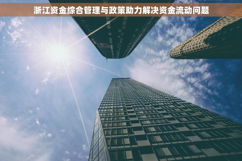 浙江资金综合管理与政策助力解决资金流动问题