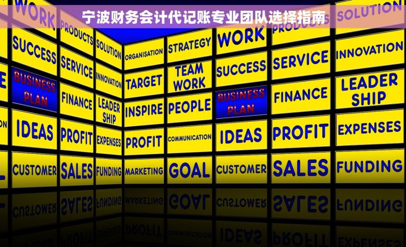 宁波财务会计代记账专业团队选择指南