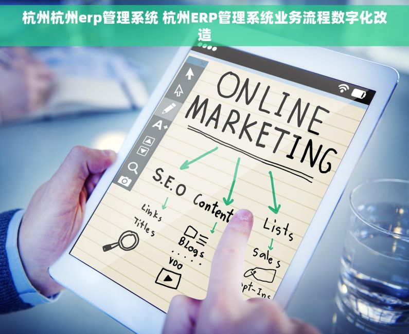 杭州杭州erp管理系统 杭州ERP管理系统业务流程数字化改造