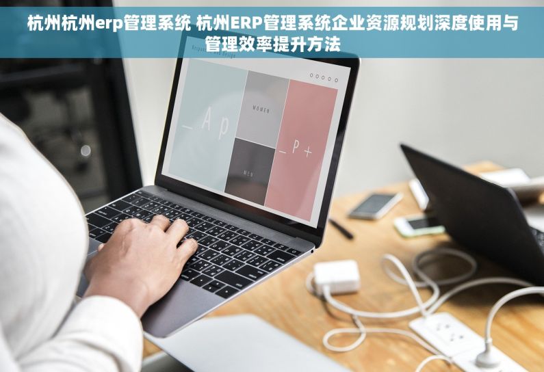 杭州杭州erp管理系统 杭州ERP管理系统企业资源规划深度使用与管理效率提升方法