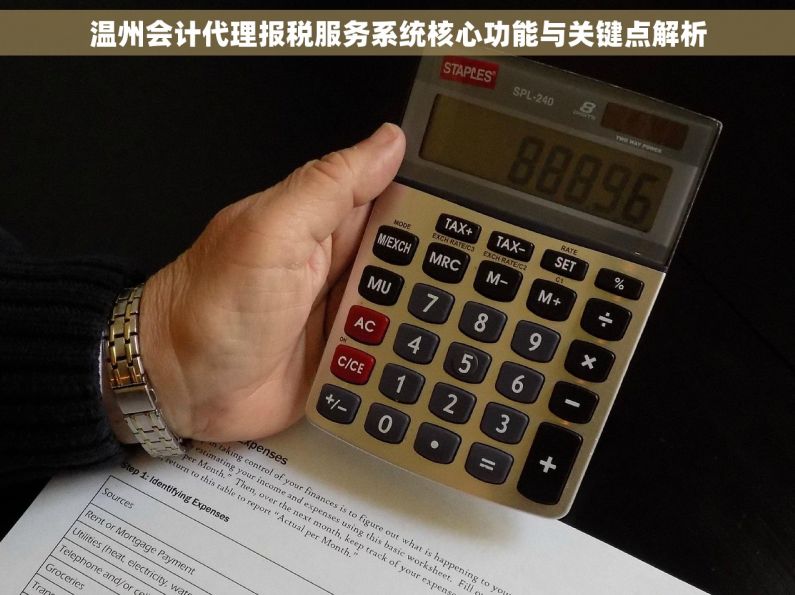 温州会计代理报税服务系统核心功能与关键点解析