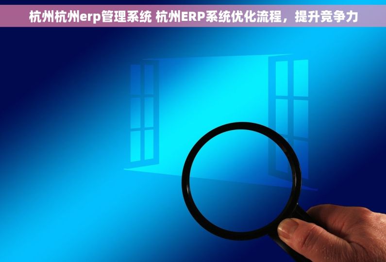 杭州杭州erp管理系统 杭州ERP系统优化流程，提升竞争力