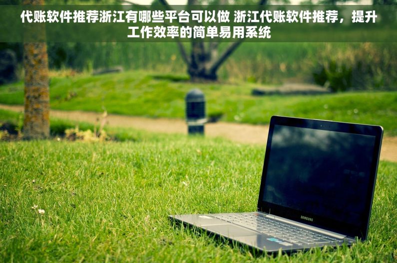 代账软件推荐浙江有哪些平台可以做 浙江代账软件推荐，提升工作效率的简单易用系统