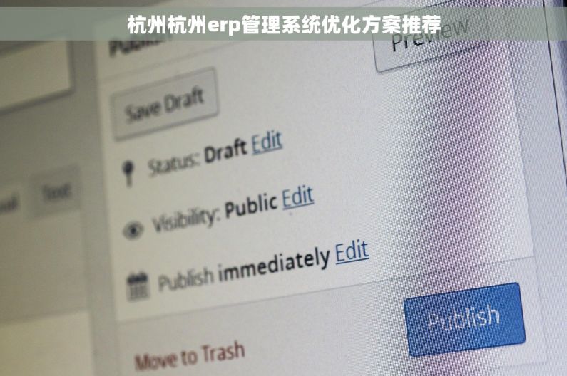 杭州杭州erp管理系统优化方案推荐