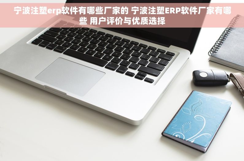 宁波注塑erp软件有哪些厂家的 宁波注塑ERP软件厂家有哪些 用户评价与优质选择