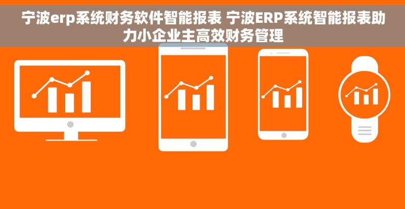 宁波erp系统财务软件智能报表 宁波ERP系统智能报表助力小企业主高效财务管理