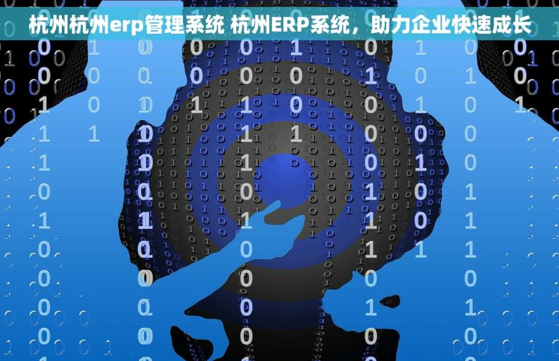 杭州杭州erp管理系统 杭州ERP系统，助力企业快速成长