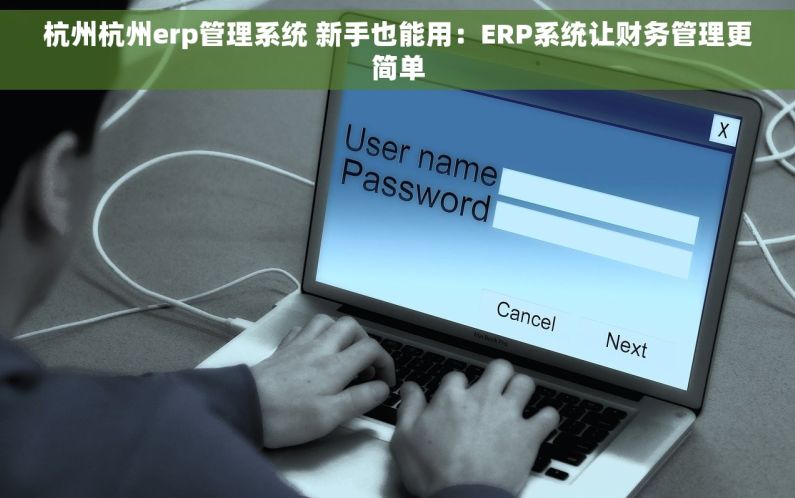 杭州杭州erp管理系统 新手也能用：ERP系统让财务管理更简单