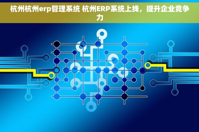 杭州杭州erp管理系统 杭州ERP系统上线，提升企业竞争力