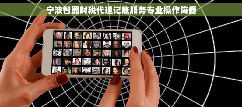 宁波智蜀财税代理记账服务专业操作简便