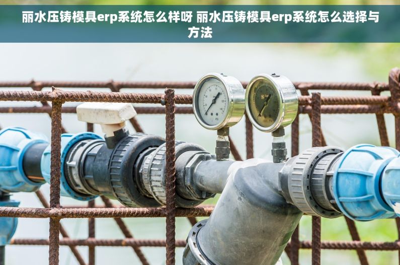 丽水压铸模具erp系统怎么样呀 丽水压铸模具erp系统怎么选择与方法