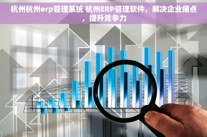 杭州杭州erp管理系统 杭州ERP管理软件，解决企业痛点，提升竞争力