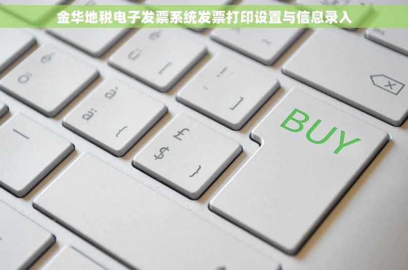 金华地税电子发票系统发票打印设置与信息录入
