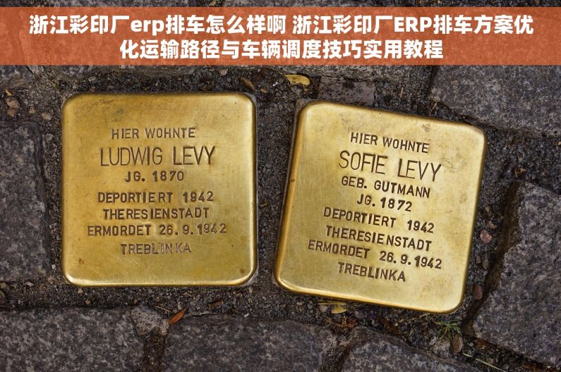 浙江彩印厂erp排车怎么样啊 浙江彩印厂ERP排车方案优化运输路径与车辆调度技巧实用教程