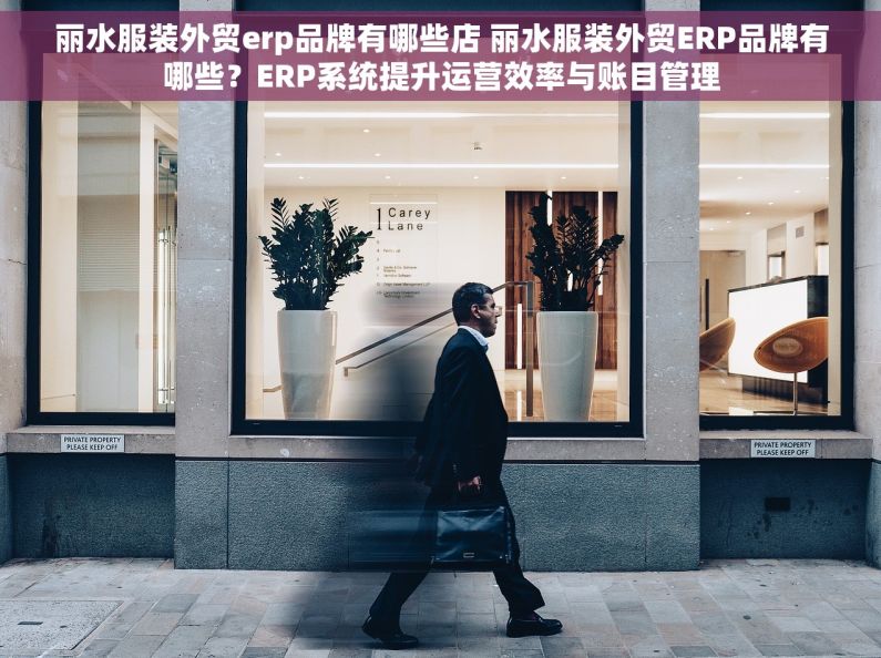 丽水服装外贸erp品牌有哪些店 丽水服装外贸ERP品牌有哪些？ERP系统提升运营效率与账目管理
