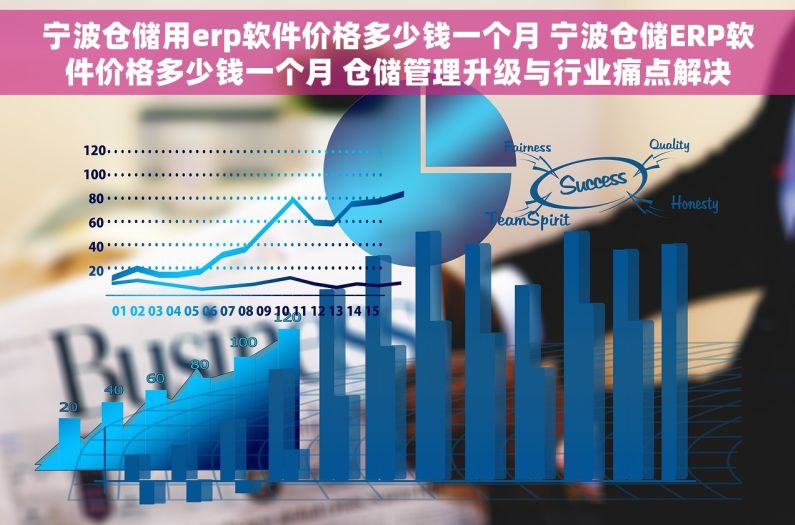宁波仓储用erp软件价格多少钱一个月 宁波仓储ERP软件价格多少钱一个月 仓储管理升级与行业痛点解决