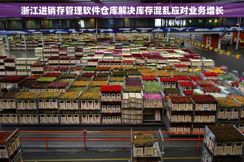 浙江进销存管理软件仓库解决库存混乱应对业务增长