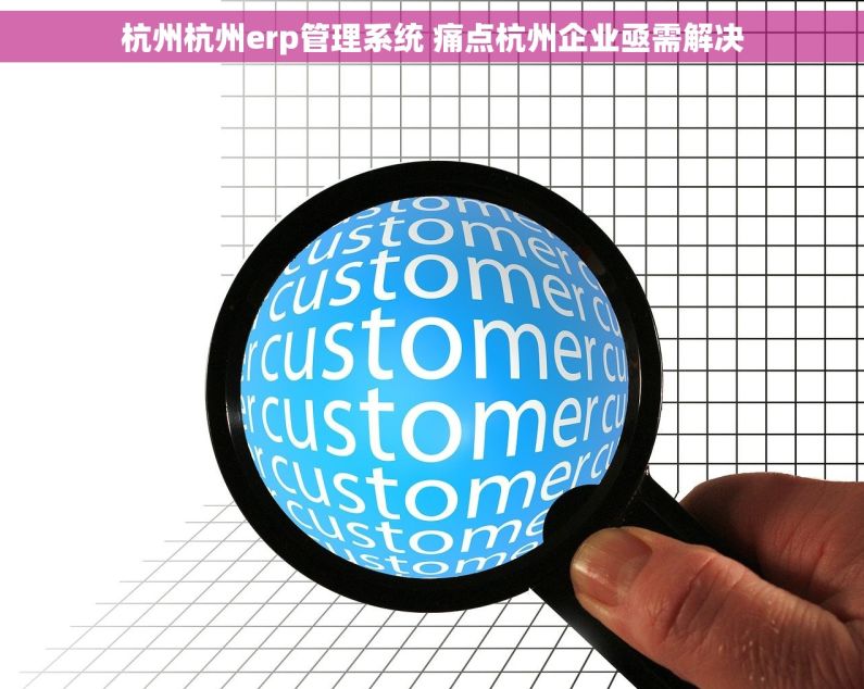 杭州杭州erp管理系统 痛点杭州企业亟需解决