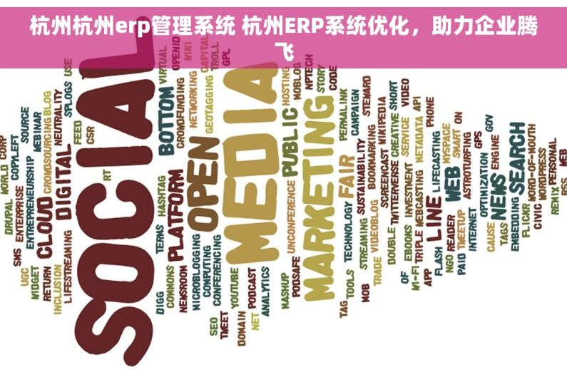 杭州杭州erp管理系统 杭州ERP系统优化，助力企业腾飞