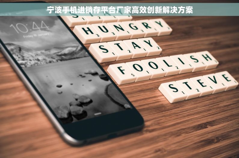 宁波手机进销存平台厂家高效创新解决方案