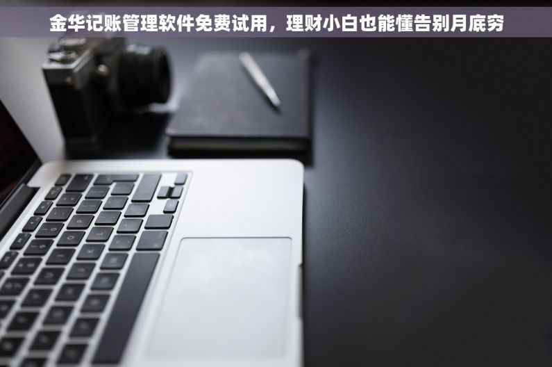 金华记账管理软件免费试用，理财小白也能懂告别月底穷