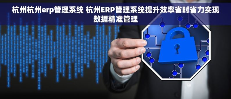 杭州杭州erp管理系统 杭州ERP管理系统提升效率省时省力实现数据精准管理
