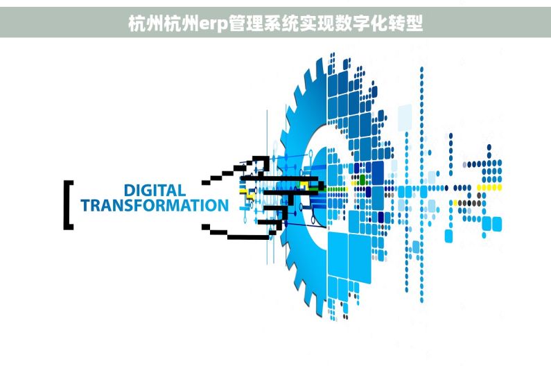 杭州杭州erp管理系统实现数字化转型