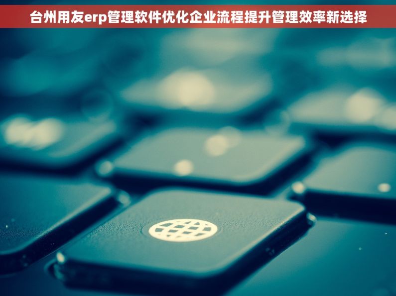 台州用友erp管理软件优化企业流程提升管理效率新选择