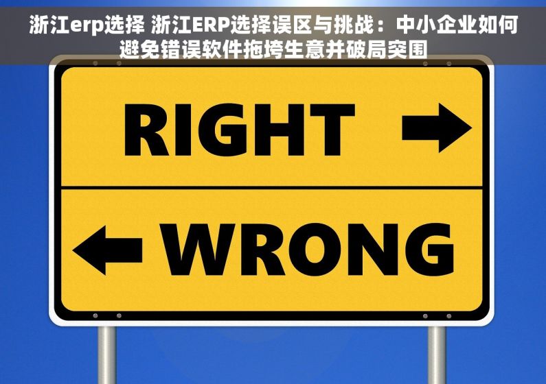 浙江erp选择 浙江ERP选择误区与挑战：中小企业如何避免错误软件拖垮生意并破局突围