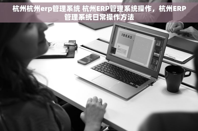 杭州杭州erp管理系统 杭州ERP管理系统操作，杭州ERP管理系统日常操作方法