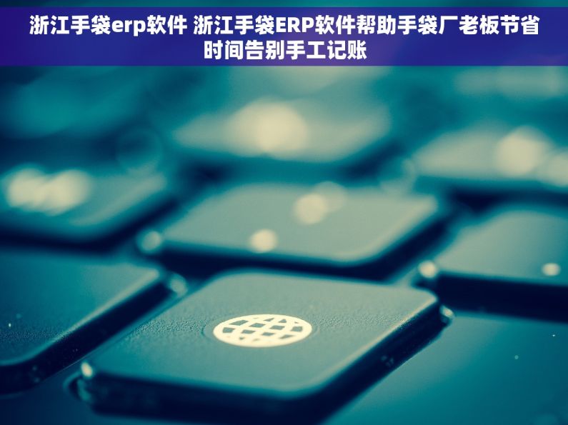 浙江手袋erp软件 浙江手袋ERP软件帮助手袋厂老板节省时间告别手工记账