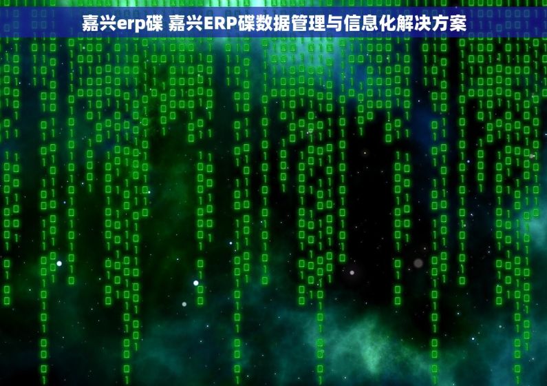 嘉兴erp碟 嘉兴ERP碟数据管理与信息化解决方案