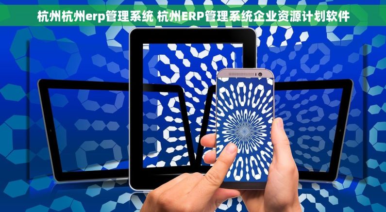 杭州杭州erp管理系统 杭州ERP管理系统企业资源计划软件