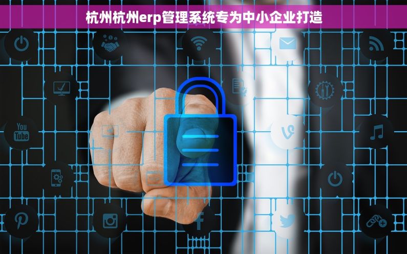 杭州杭州erp管理系统专为中小企业打造