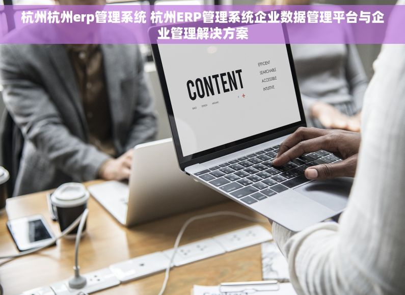 杭州杭州erp管理系统 杭州ERP管理系统企业数据管理平台与企业管理解决方案