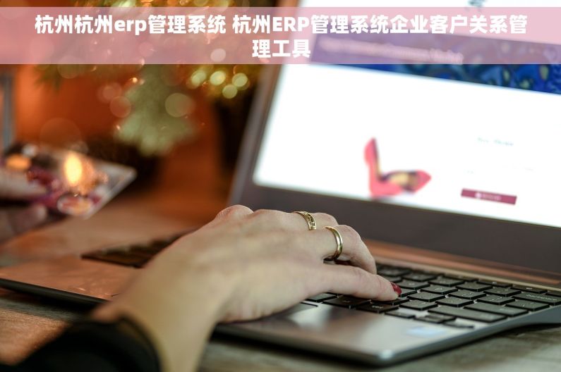 杭州杭州erp管理系统 杭州ERP管理系统企业客户关系管理工具