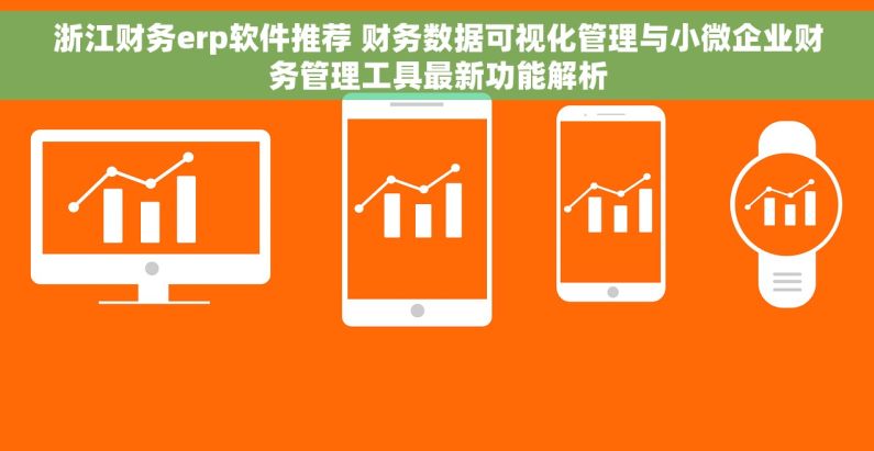 浙江财务erp软件推荐 财务数据可视化管理与小微企业财务管理工具最新功能解析