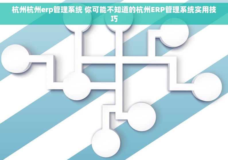 杭州杭州erp管理系统 你可能不知道的杭州ERP管理系统实用技巧