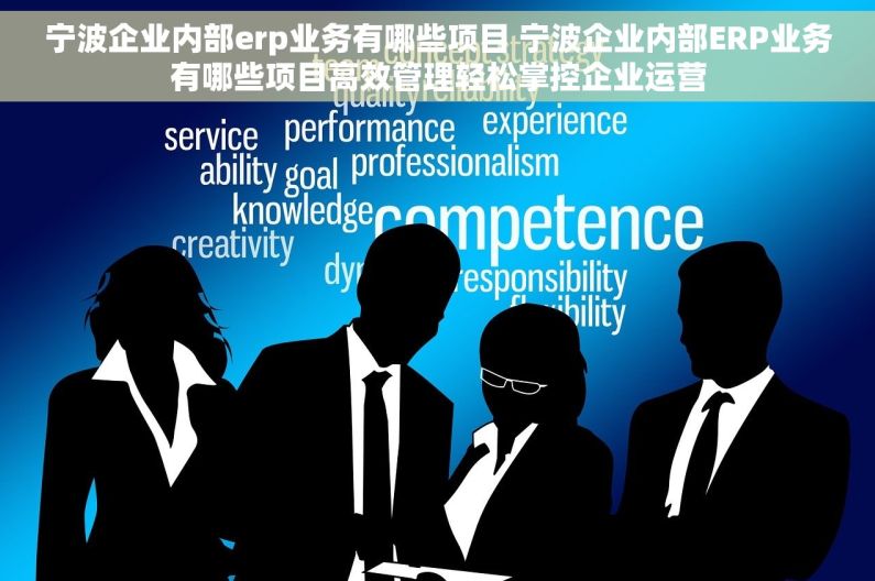 宁波企业内部erp业务有哪些项目 宁波企业内部ERP业务有哪些项目高效管理轻松掌控企业运营